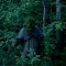 Reinis Hofmanis. No sērijas "LARP"
