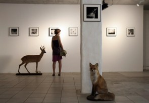 Lenkeviča izstāde kim?. Foto - Rute Marta Jansone