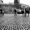 Pusaudži pastaigājas pa Dublinu ar saviem zirgiem. Foto - Džanpaulo La Palja