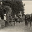 Rembates pagasts. Siena talcinieki pie zirgu velkamā siena grābekļa "Ogresziedu" pļavā, [193-?] (Oriģināla glabātājs- Aira Vilka)
