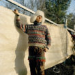 Selīna Klanē. Mikkal Johan, Masi, 2005