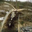 Selīna Klanē. Pulcēšana, Masi, 2005